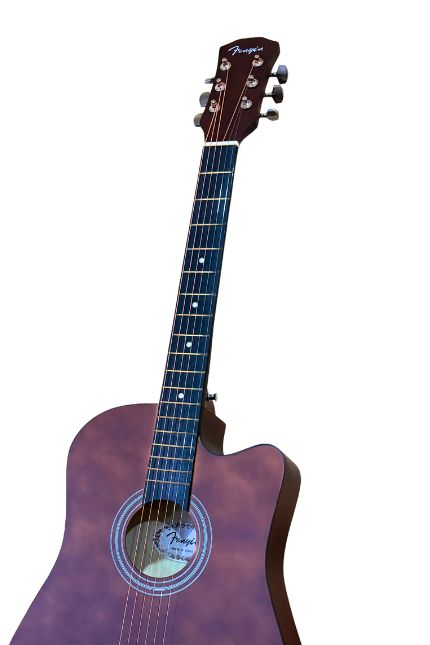 Guitarra de Estudio Epsilon Fenyin — foto 5