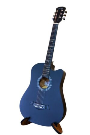 Guitarra de Estudio Gamma Fenyin