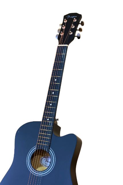 Guitarra de Estudio Gamma Fenyin — foto 4